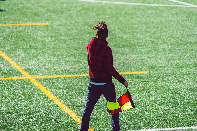 为确保未来 为确保未来