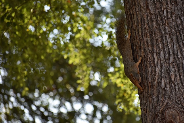 人热血沸腾 人热血沸腾