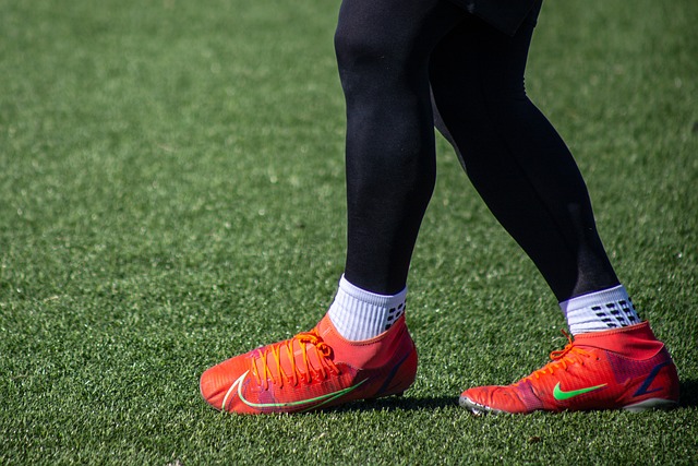 不仅展现了 不仅展现了