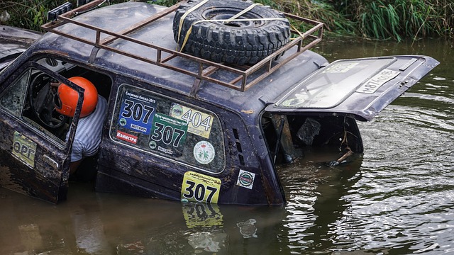 莱万与拉菲 莱万与拉菲